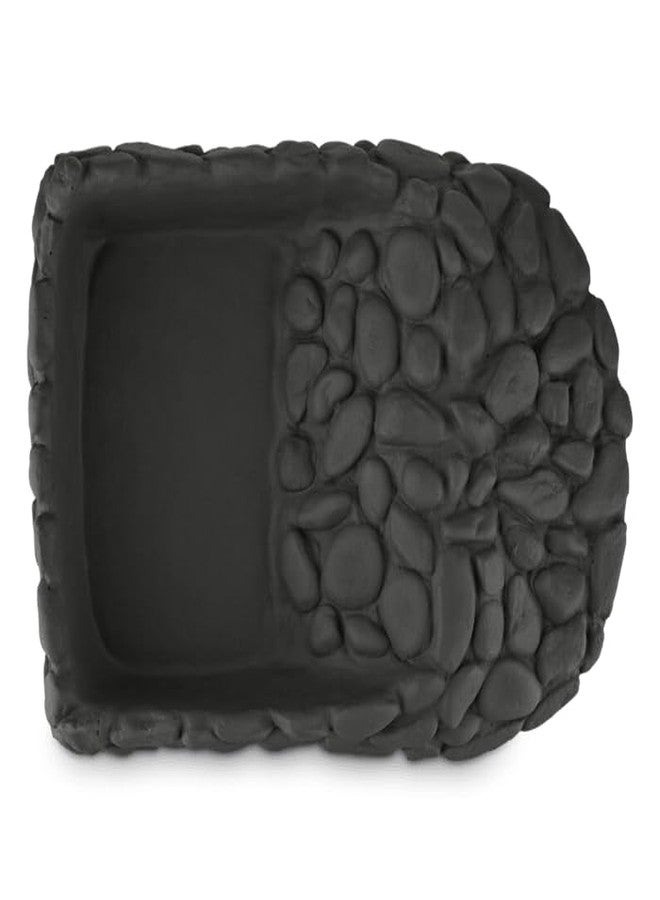 Imagitarium Reptile Ramp Bowl, 13" L X 9" W X 2.5" H - Image 4